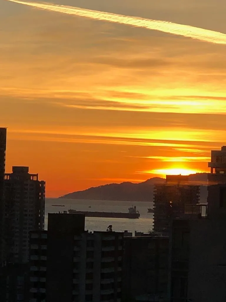 1403 1288 ALBERNI STREET - photo 2 of 13