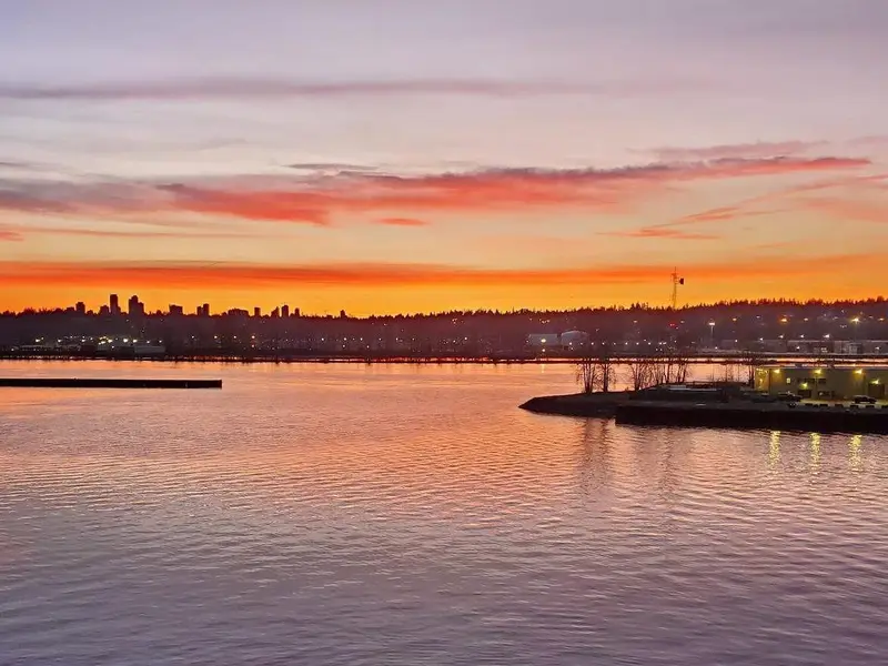 608 210 SALTER STREET - photo 1 of 25