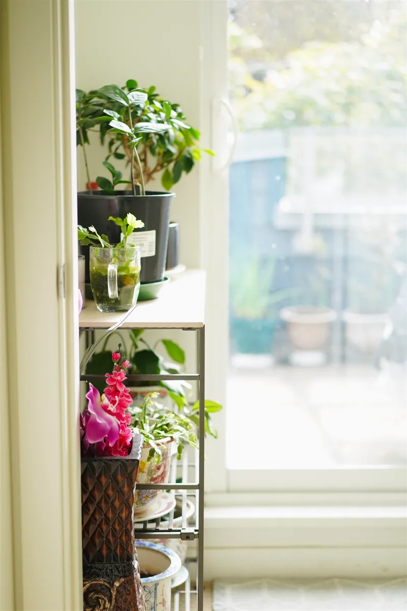 4886 ELDORADO MEWS - photo 3 of 15