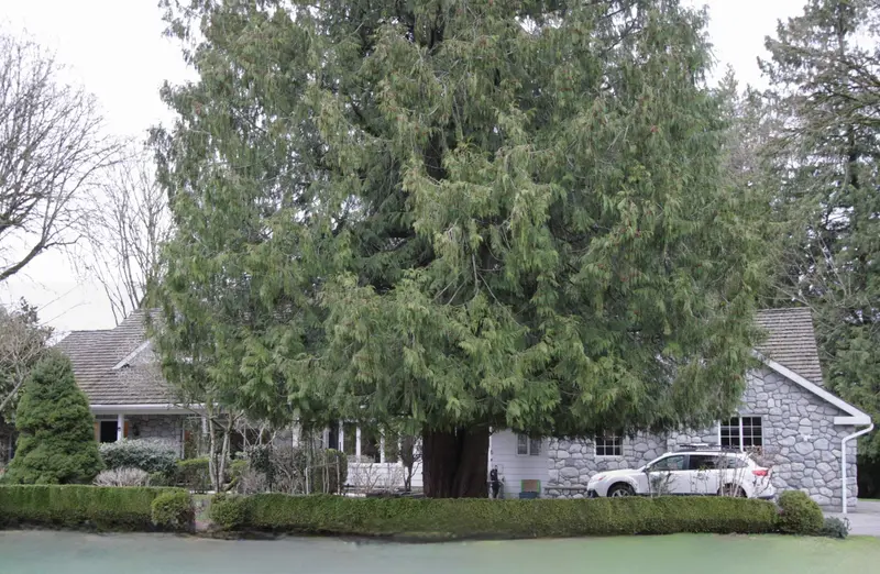 35093 MT BLANCHARD DRIVE - photo 2 of 25