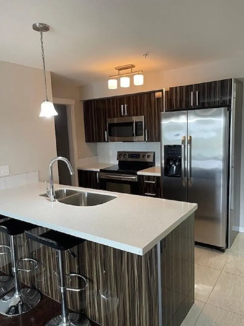 205 22318 LOUGHEED HIGHWAY - photo 4 of 20