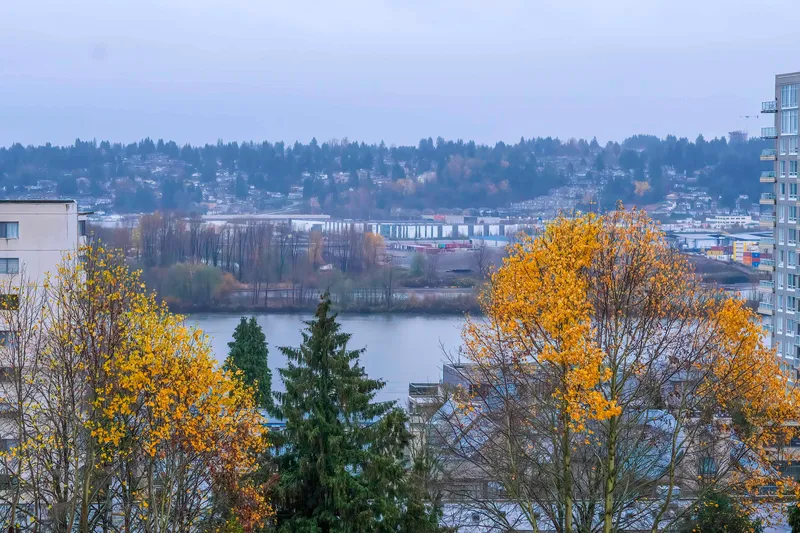 501 500 ROYAL AVENUE - photo 1 of 25