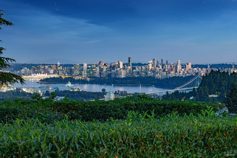 848 FAIRMILE ROAD - photo 3 of 25