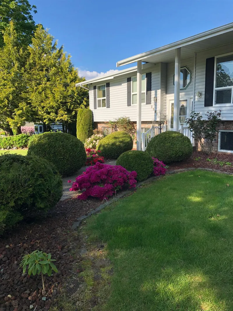 3996 ECKERT STREET - photo 4 of 25