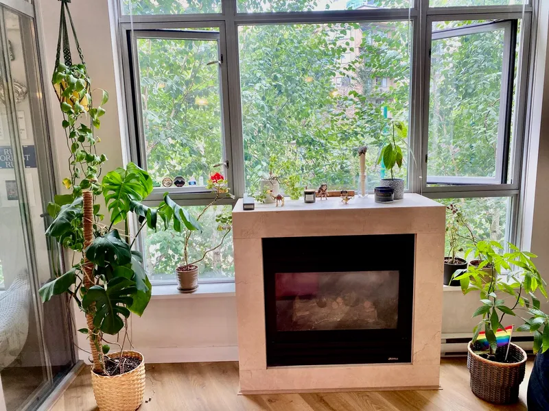 204 1050 SMITHE STREET - photo 3 of 24